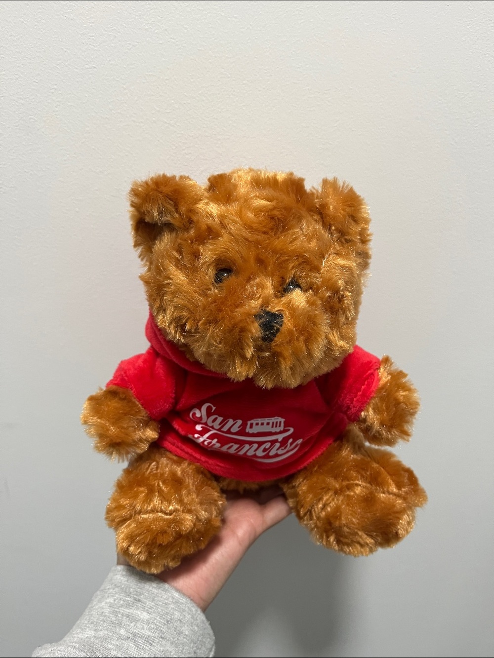 San Francisco Plush Teddy Bear in Red Hoodie